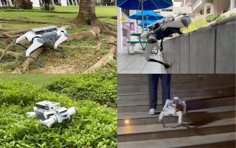 KiVi quadruped maintaining locomotion across varied terrain and visual disturbances.